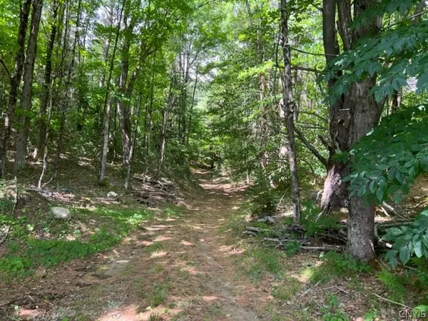 $30,000 | 569 Emmonsburg Road, Salisbury, NY 13454