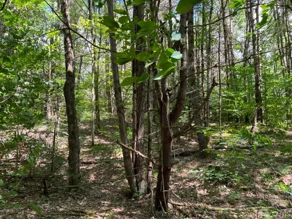 $30,000 | 569 Emmonsburg Road, Salisbury, NY 13454