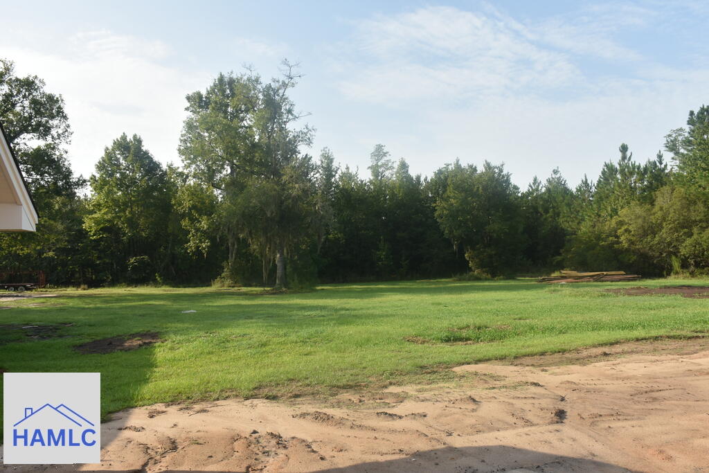 255 Archer Road Ludowici, GA 31316 - Photo 6 of 24 Gallery Image 6