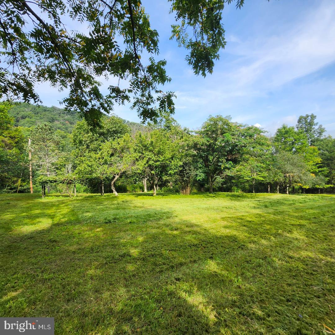 2445 Bear Wallow Hollow Road Augusta, WV 26704 - Photo 18 of 22 a view of a grassy field with trees