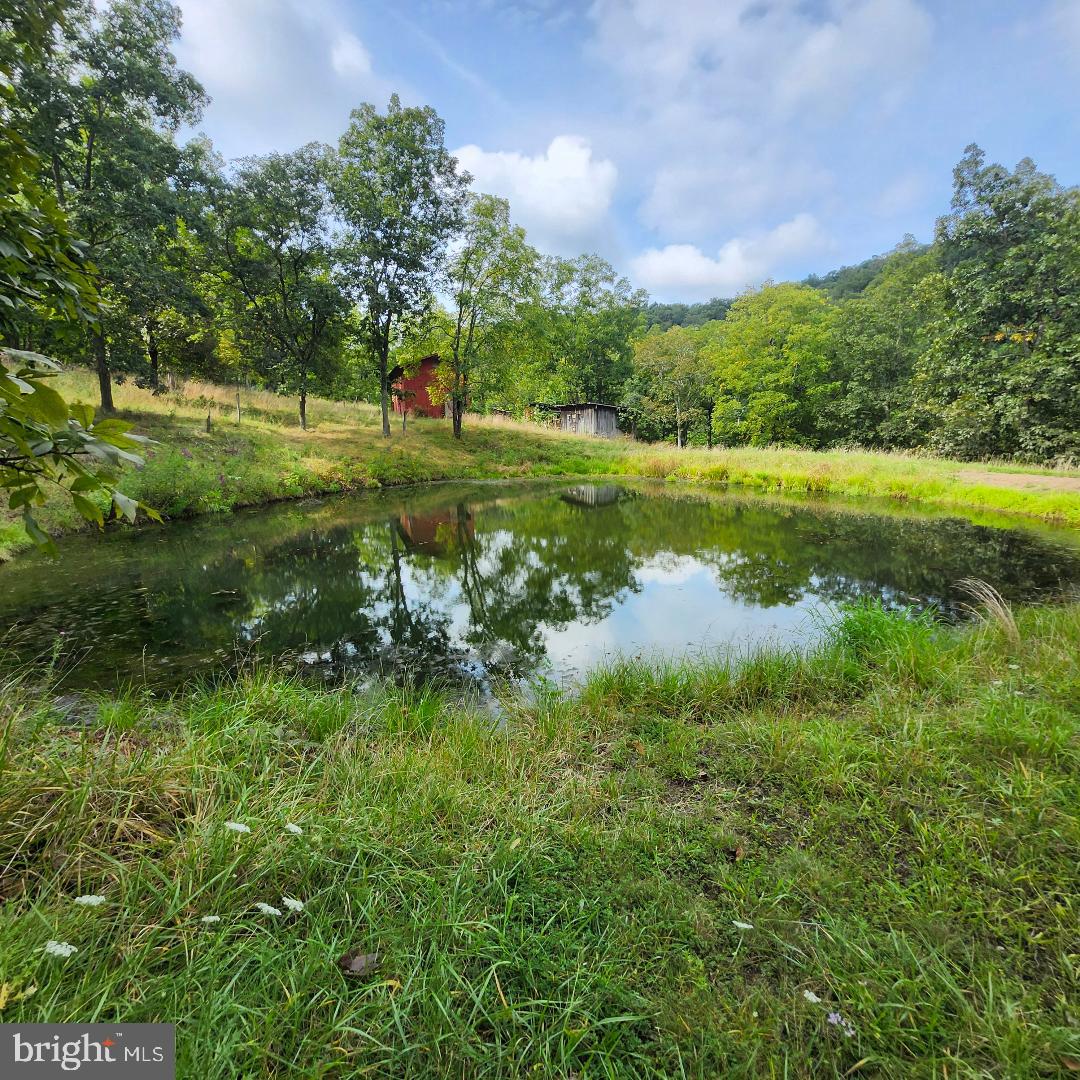 2445 Bear Wallow Hollow Road Augusta, WV 26704 - Photo 19 of 22 a view of a garden with a lake