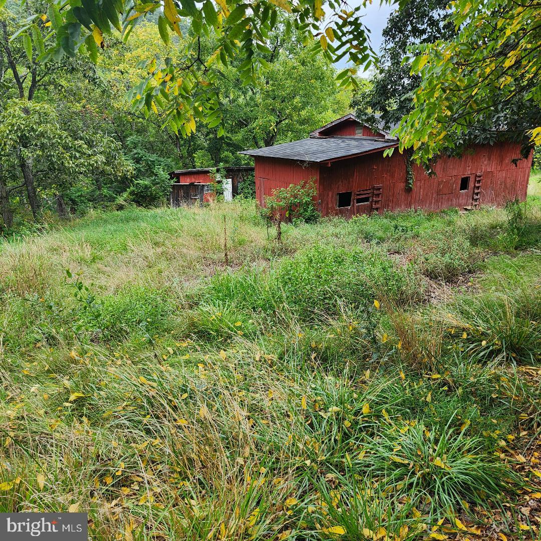 2445 Bear Wallow Hollow Road Augusta, WV 26704 - Photo 21 of 22 a view of a house with a yard