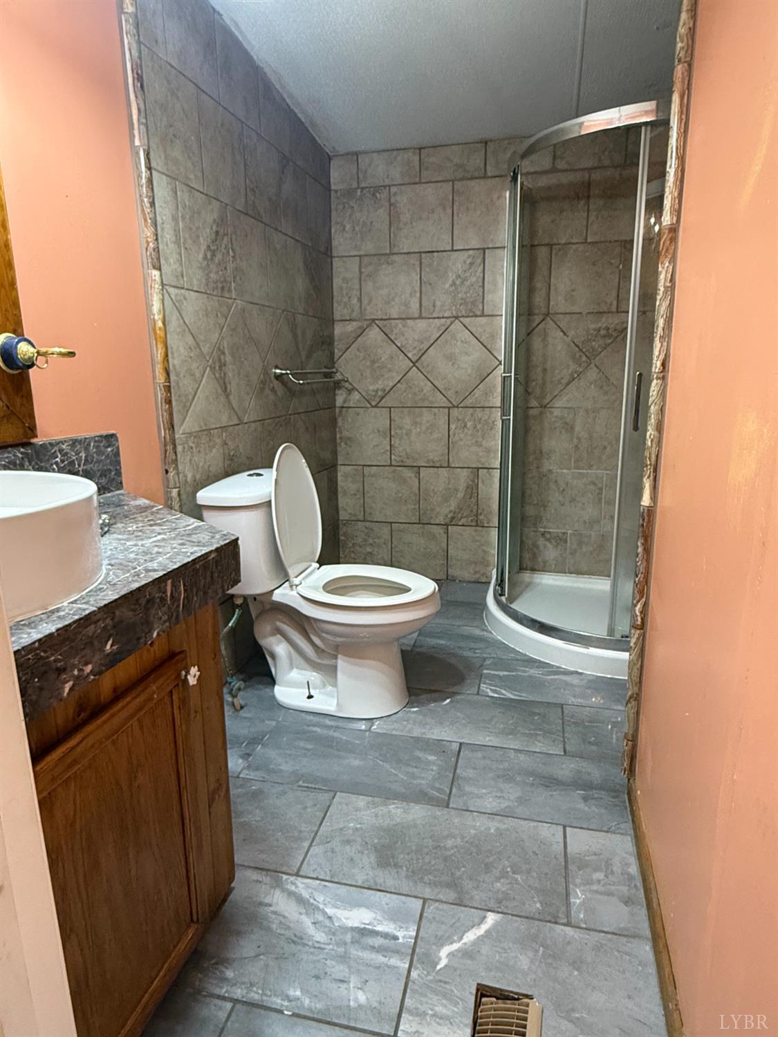 3974 Germantown Road Keysville, VA 23947 - Photo 19 of 42 a bathroom with a granite countertop toilet a sink and a shower