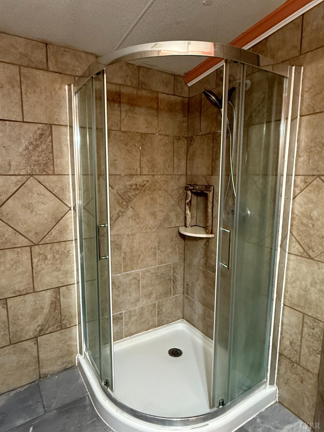 3974 Germantown Road Keysville, VA 23947 - Photo 21 of 42 a bathroom with a shower and toilet