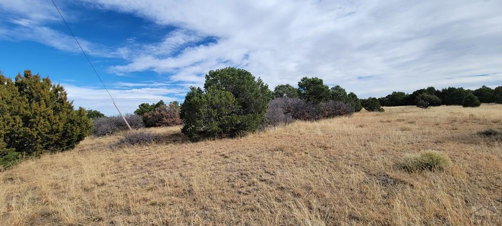 Lot 34 Silver Spur Road Walsenburg, CO 81089 - Photo 33 of 43