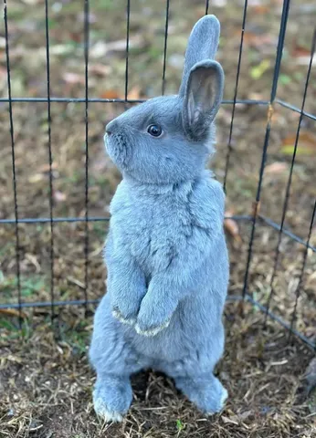 $339,900 | 110 Fowler Street, Roebuck, SC 29376