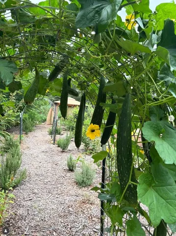 $339,900 | 110 Fowler Street, Roebuck, SC 29376