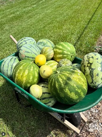 $339,900 | 110 Fowler Street, Roebuck, SC 29376