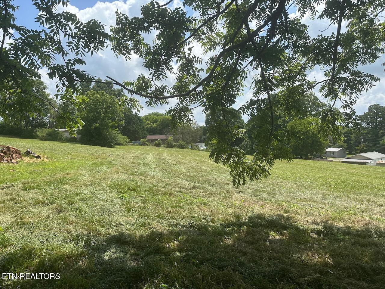 1035 Green Road Madisonville, TN 37354 - Photo 46 of 46 IMG_1225