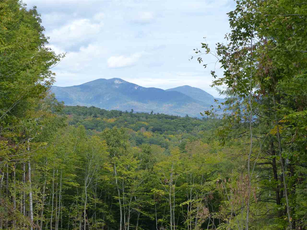 15 Q Buzzell Ridge Road, Unit 16 Sandwich, NH 03227 - Photo 1 of 40 Gallery Image 1