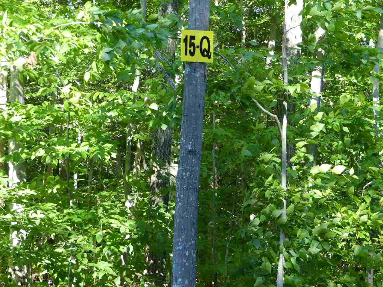 15 Q Buzzell Ridge Road, Unit 16 Sandwich, NH 03227 - Photo 2 of 40 Gallery Image 2