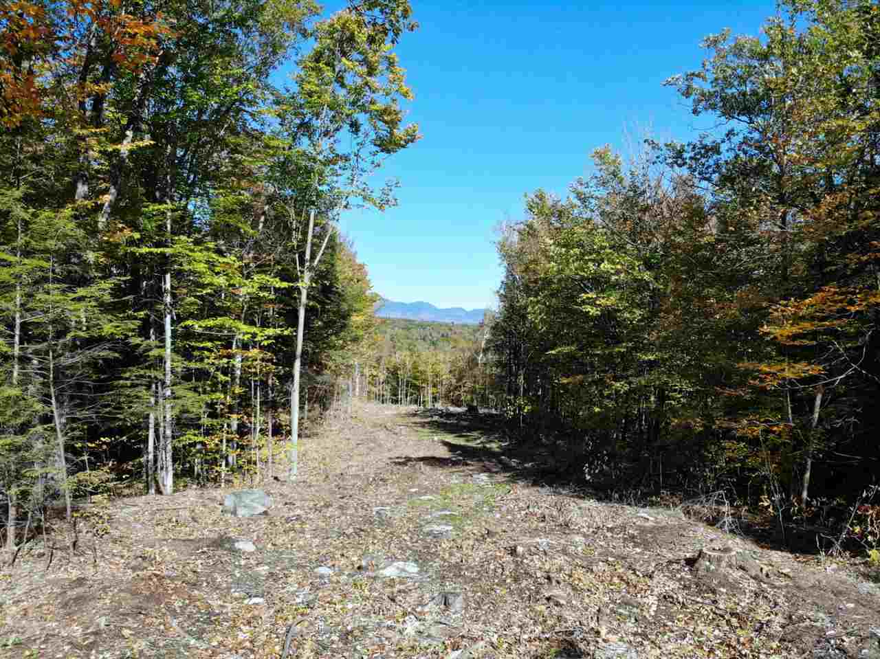 15 Q Buzzell Ridge Road, Unit 16 Sandwich, NH 03227 - Photo 4 of 40 Gallery Image 4