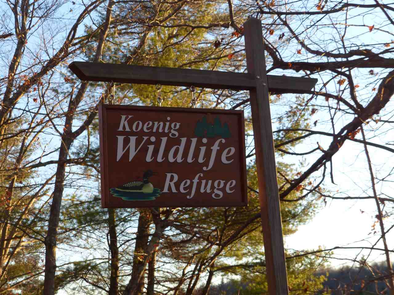 15 Q Buzzell Ridge Road, Unit 16 Sandwich, NH 03227 - Photo 37 of 40 Gallery Image 37