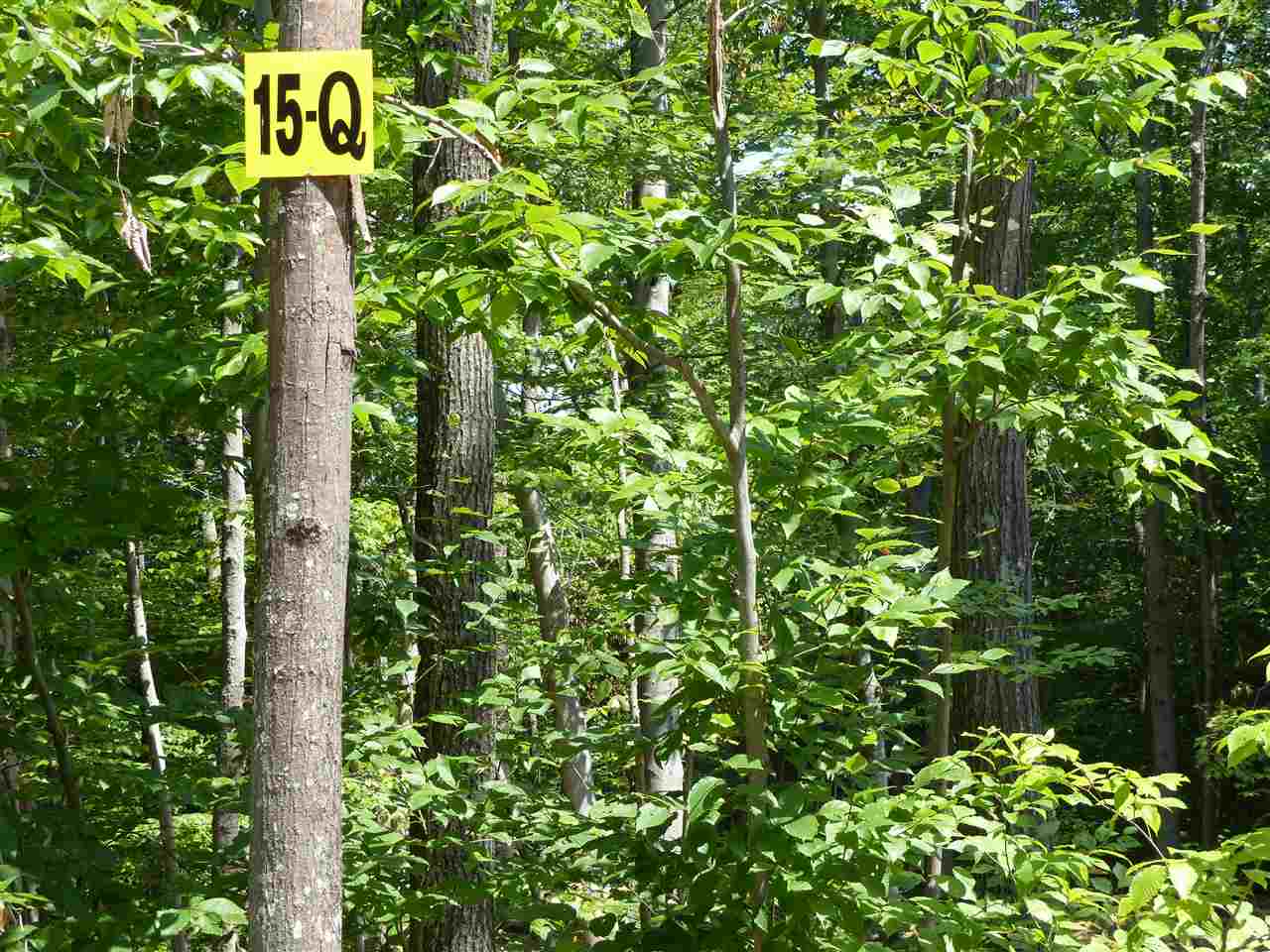 15 Q Buzzell Ridge Road, Unit 16 Sandwich, NH 03227 - Photo 7 of 40 Gallery Image 7