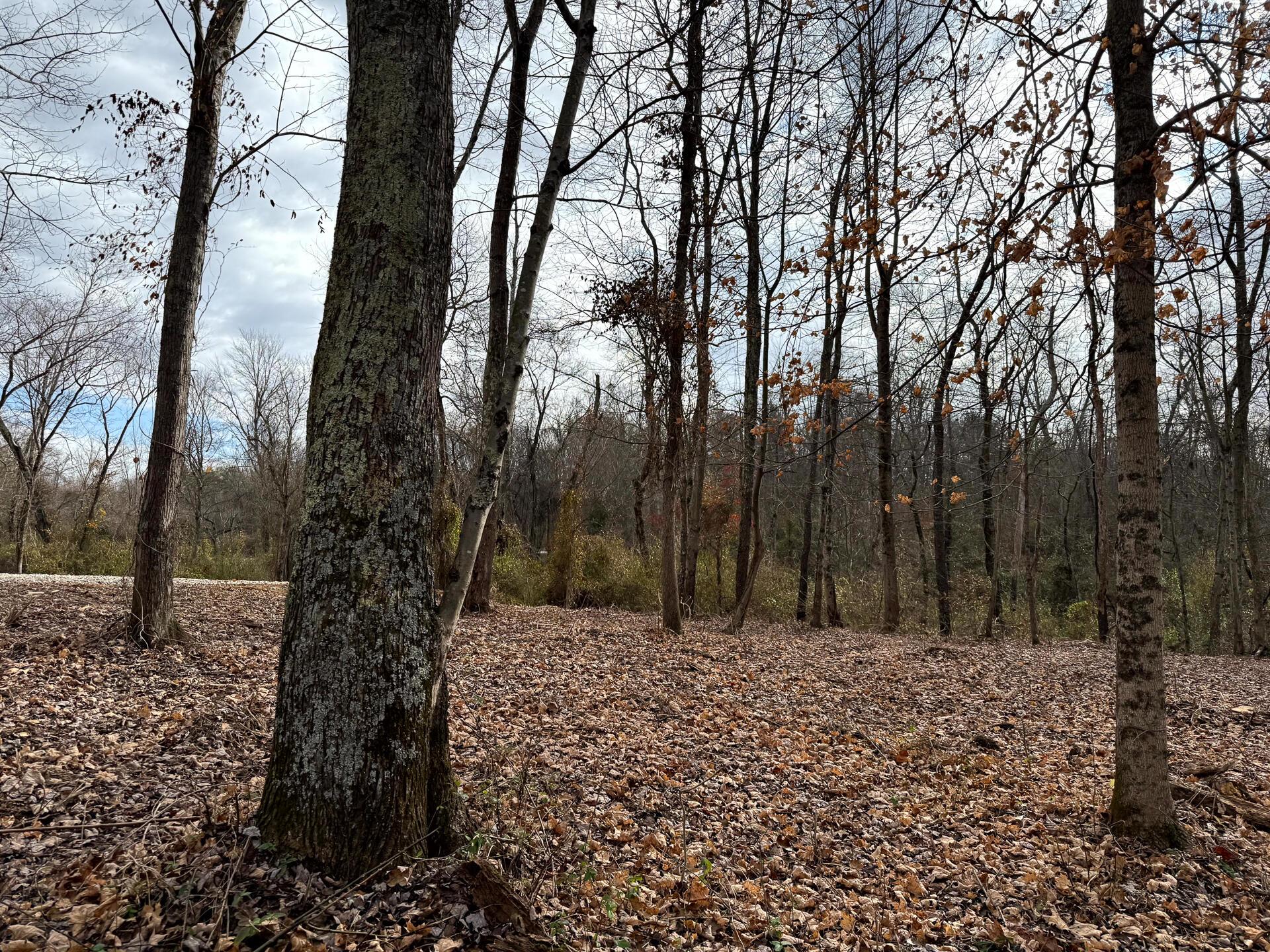0 Dutch Ridge Road Southeast, Unit WOODS TURKEY RUN TRACT 1) New Lexington, OH 43764 - Photo 26 of 43 CT-26
