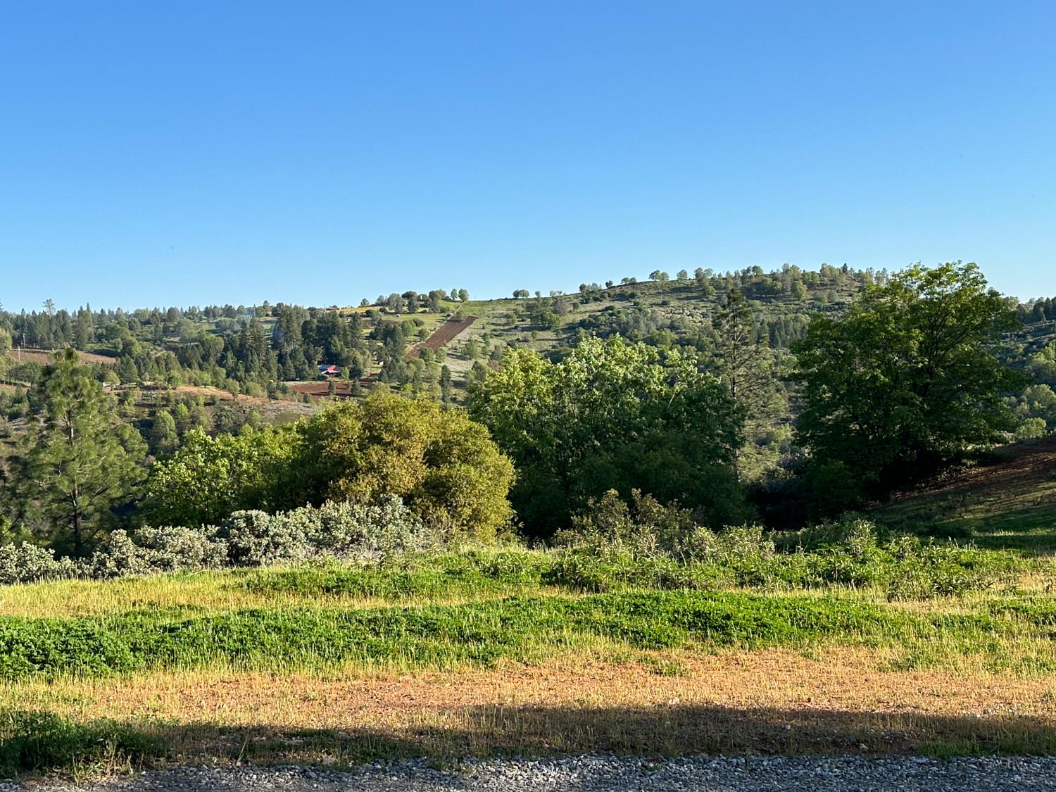 4022 Sheep Ranch Road Murphys, CA 95247 - Photo 76 of 81
