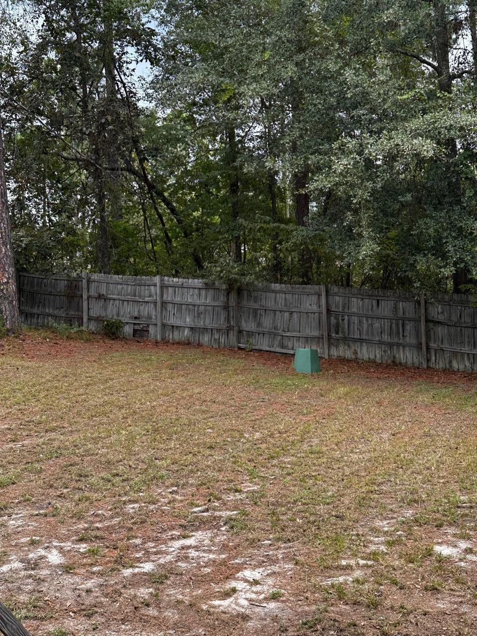 204 McLee Road Lexington, SC 29073 - Photo 16 of 30
