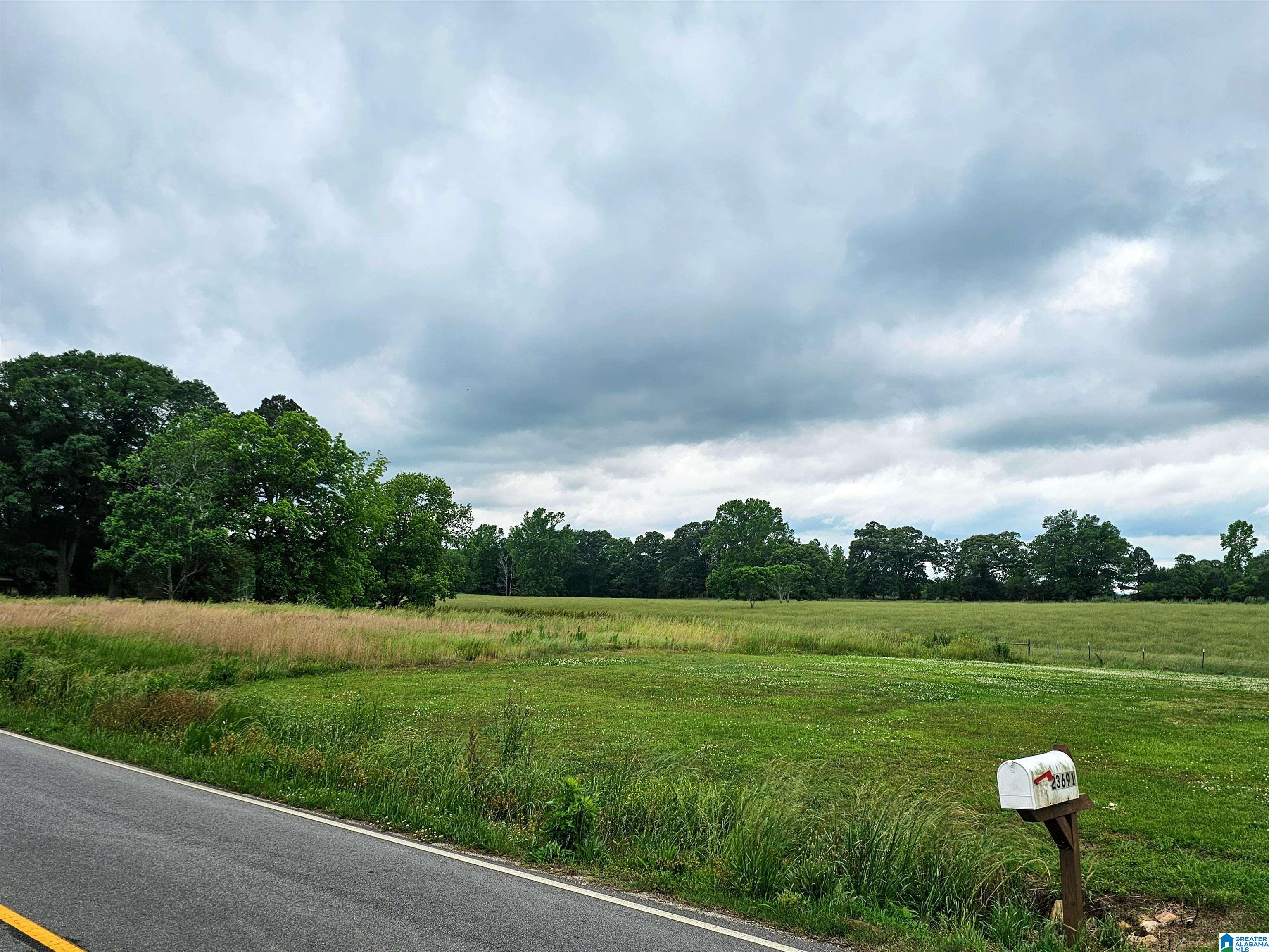 23691 County Road 87 Graham, AL 36263 - Photo 35 of 37