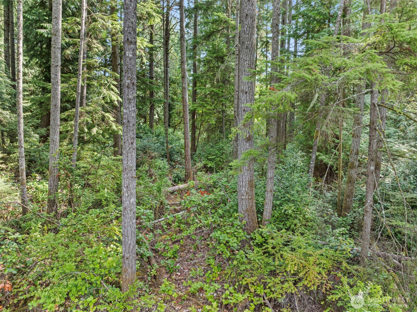 14221 Fagerud Road Southeast Olalla, WA 98359 - Photo 17 of 24 Gallery Image 17