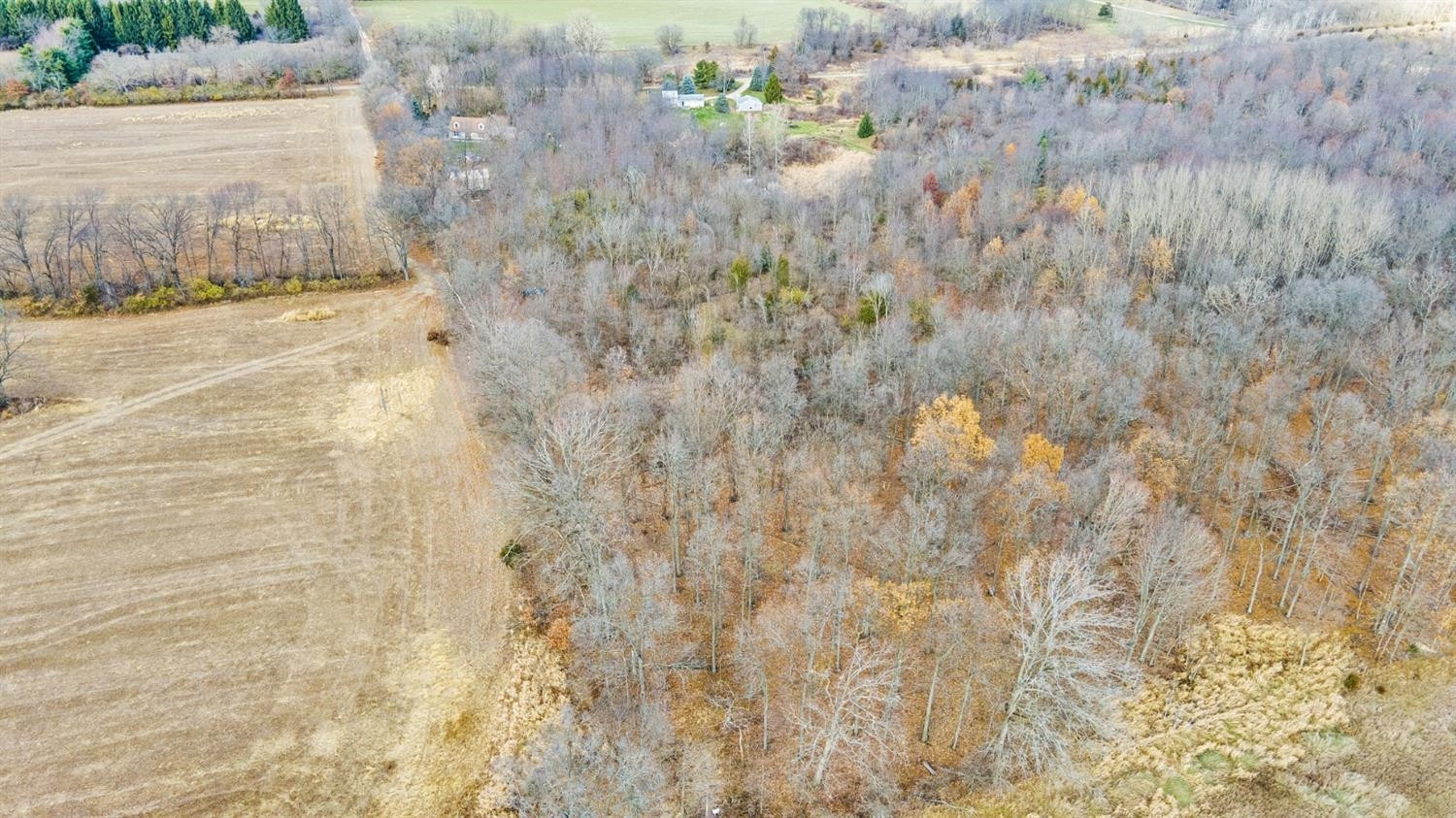 21675 Willow Road Clinton, MI 49236 - Photo 17 of 83 Photo 17