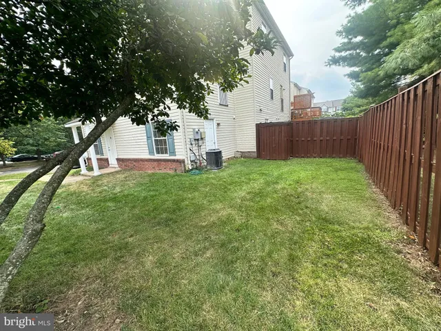 a view of backyard with tree s