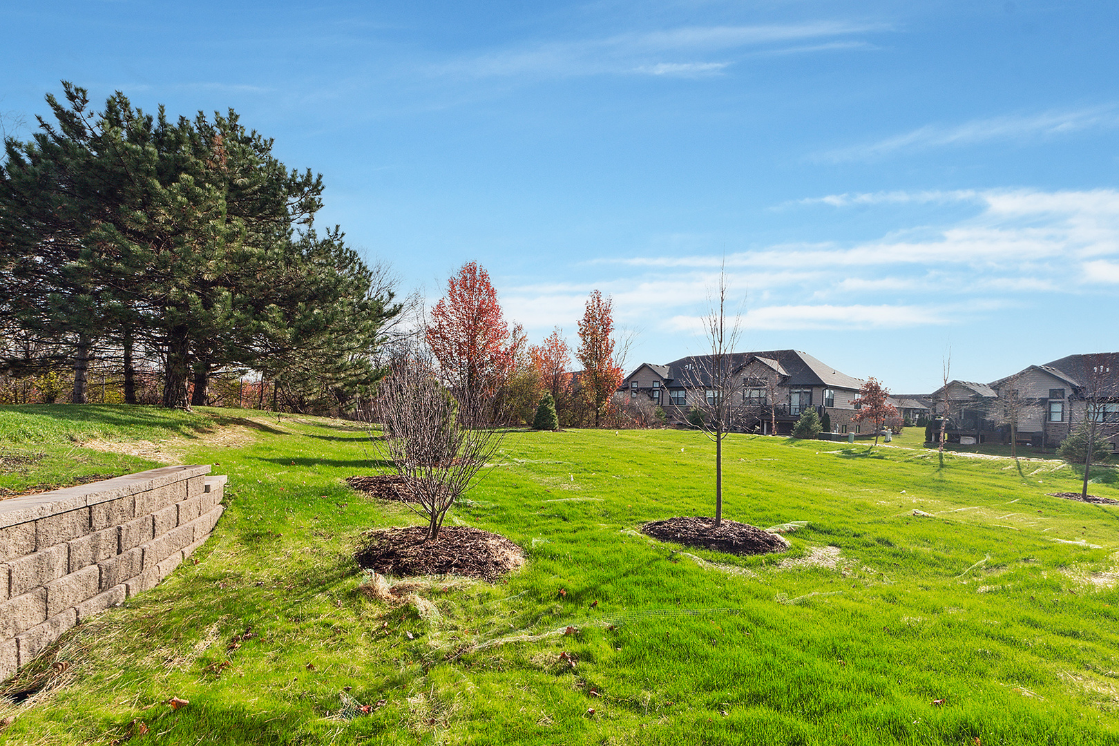 222 Clover Ridge Drive Lockport, IL 60441 - Photo 12 of 21