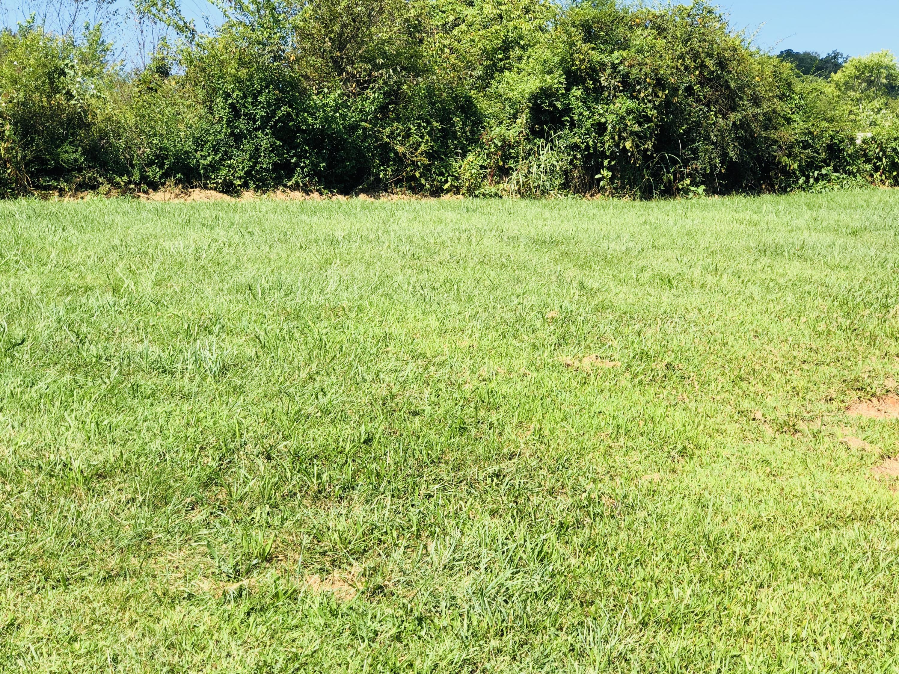 1660 Whirlwind Road Greeneville, TN 37743 - Photo 19 of 34 E3138DC3-7D17-42D5-8724-6AFF7E523195_1_2