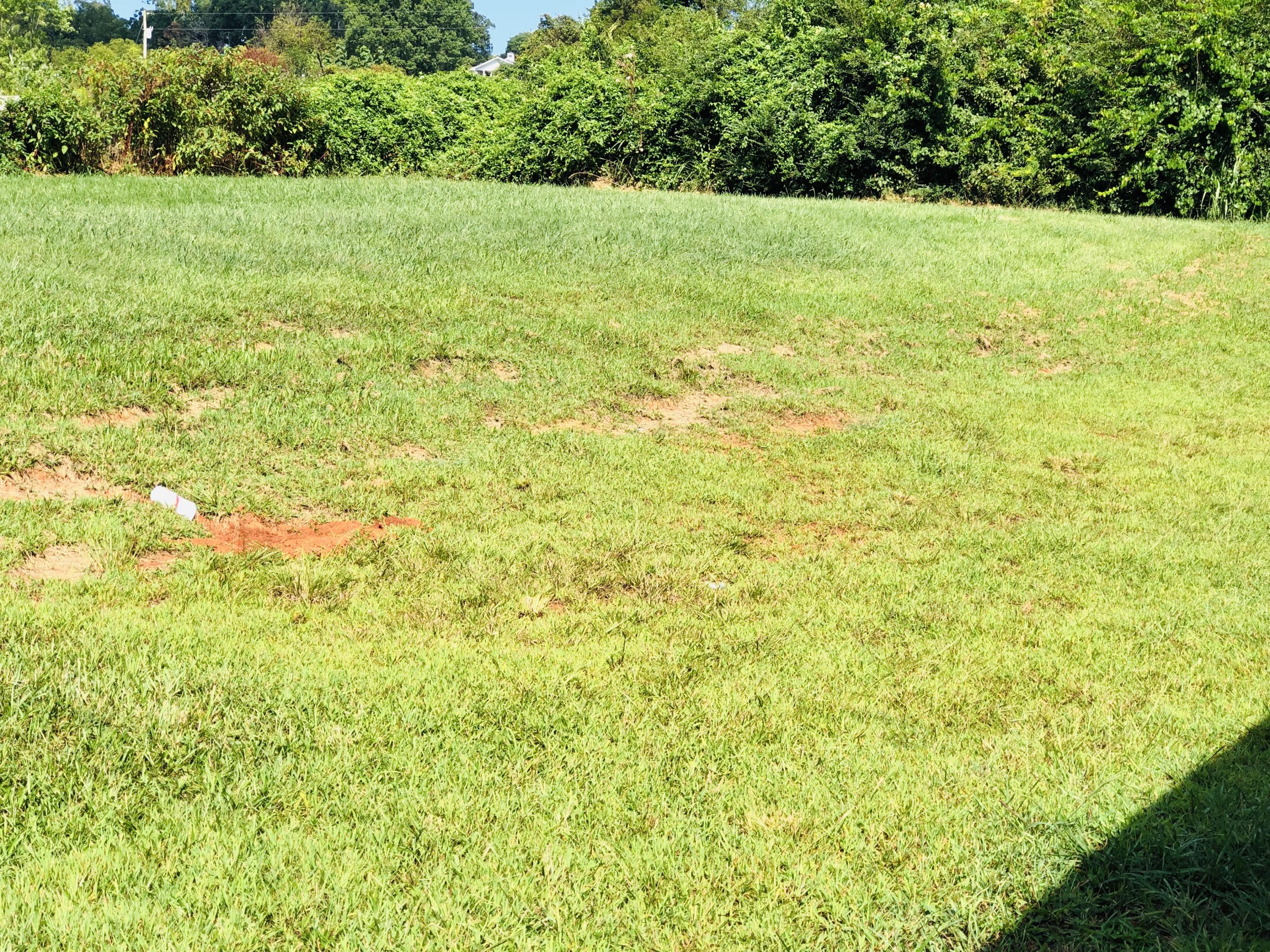 1660 Whirlwind Road Greeneville, TN 37743 - Photo 20 of 34 1AB320F1-F22D-48A1-919F-D4375EF8EA2B_1_2