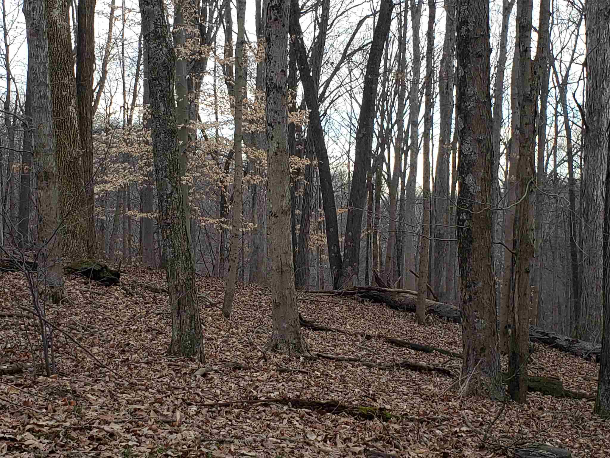 3478 Stultz Road Spencer, IN 47460 - Photo 1 of 1