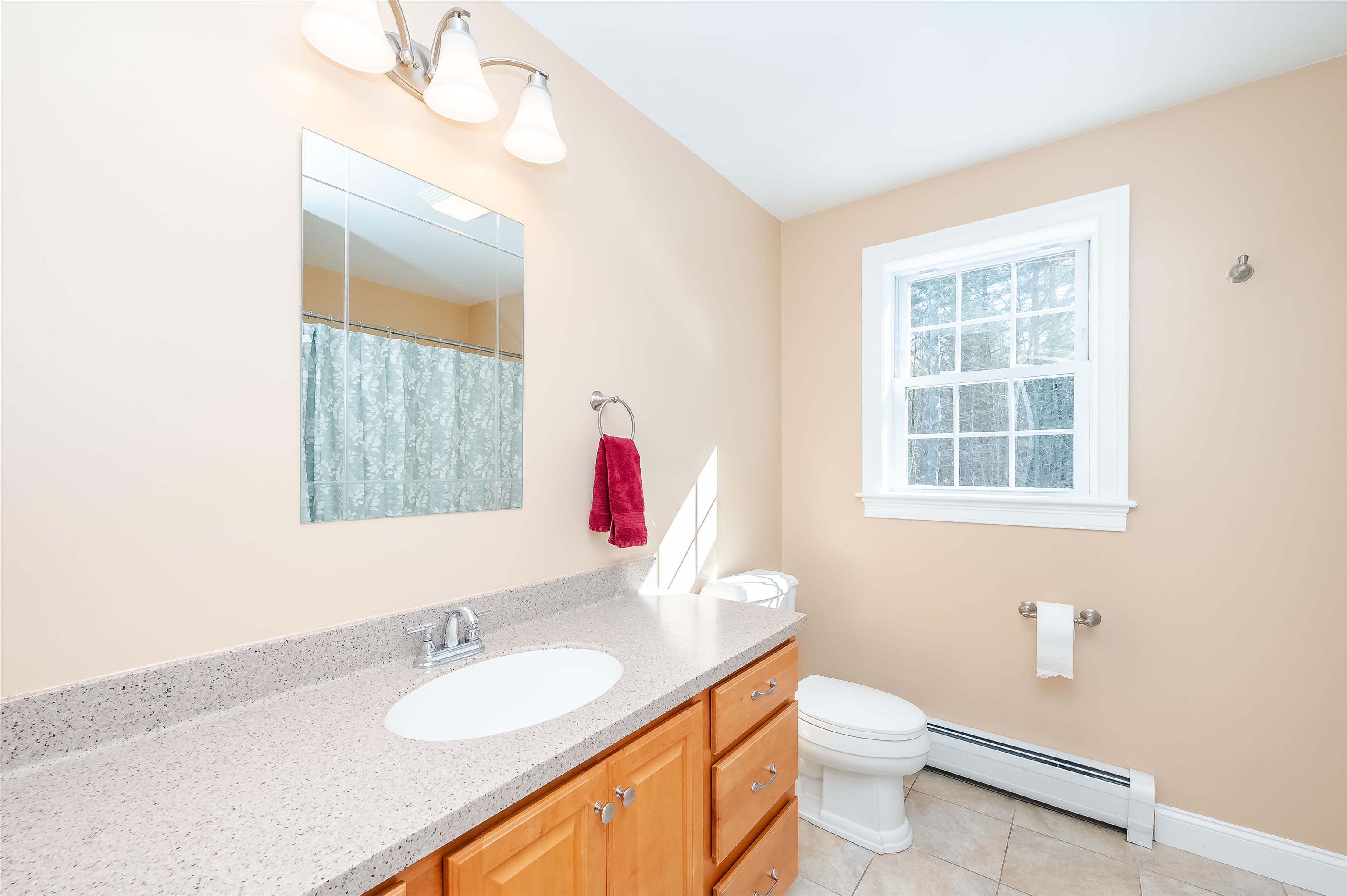 82 Ebony Drive Rochester, NH 03867 - Photo 29 of 54 Gallery Image 29