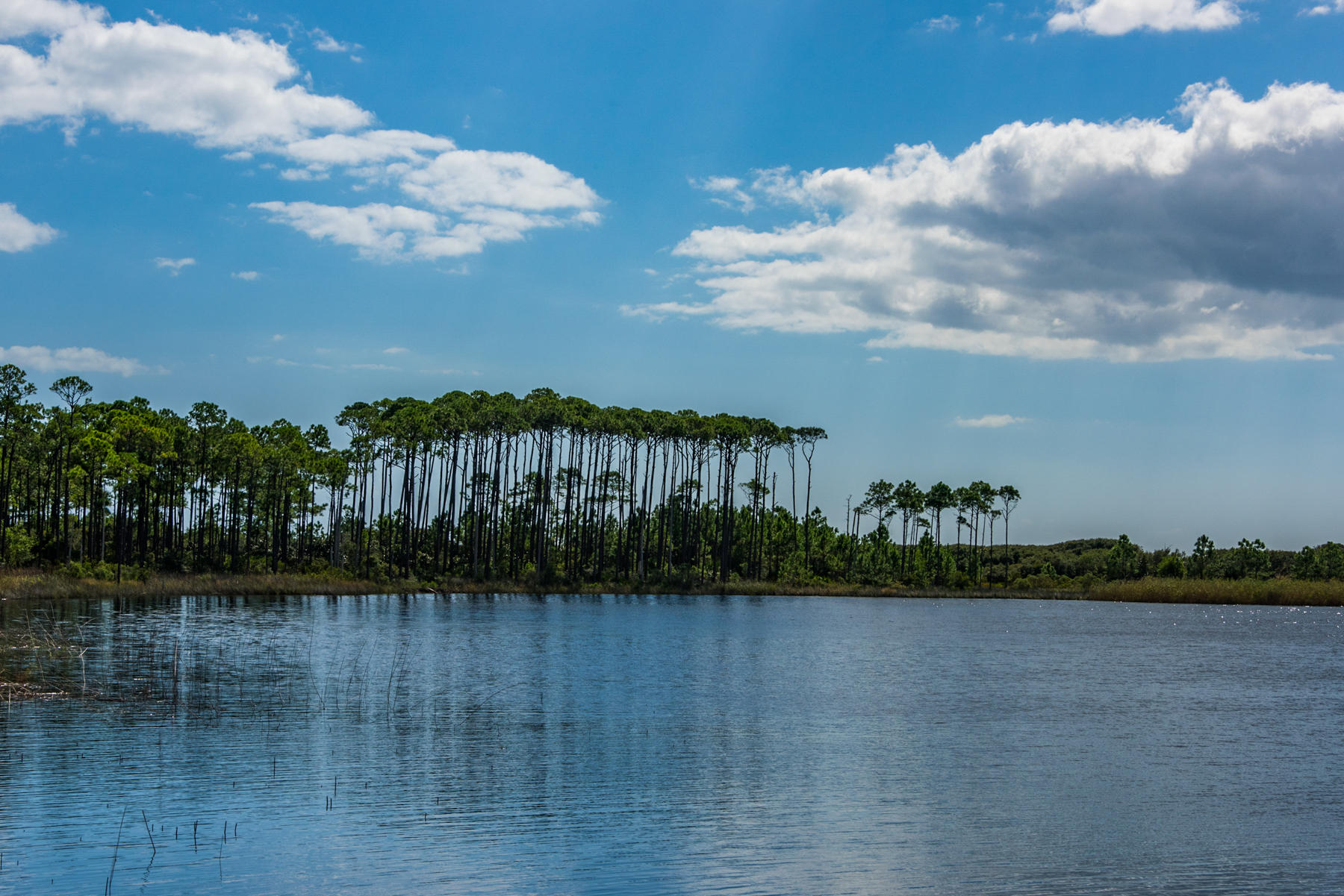 39 Sandy Lane Santa Rosa Beach, FL 32459 - Photo 57 of 87