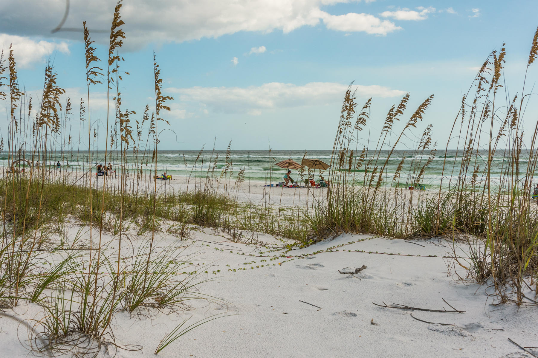 39 Sandy Lane Santa Rosa Beach, FL 32459 - Photo 60 of 87