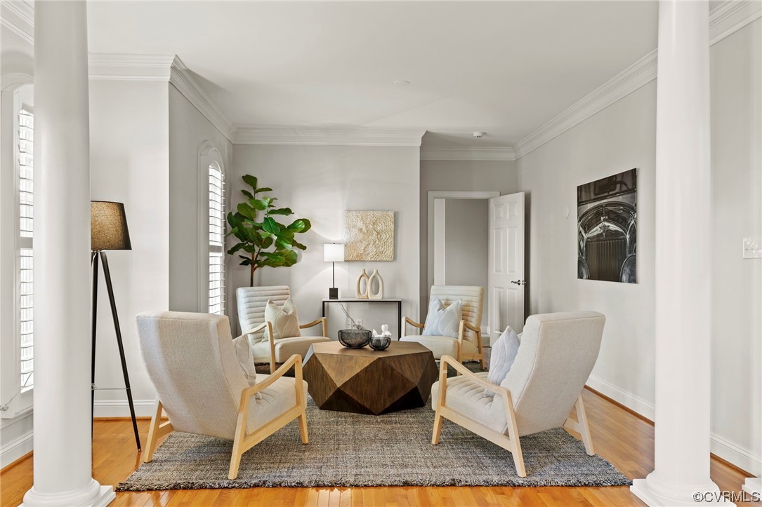 13213 Edmonton Drive Midlothian, VA 23113 - Photo 3 of 49 a living room with furniture and a rug