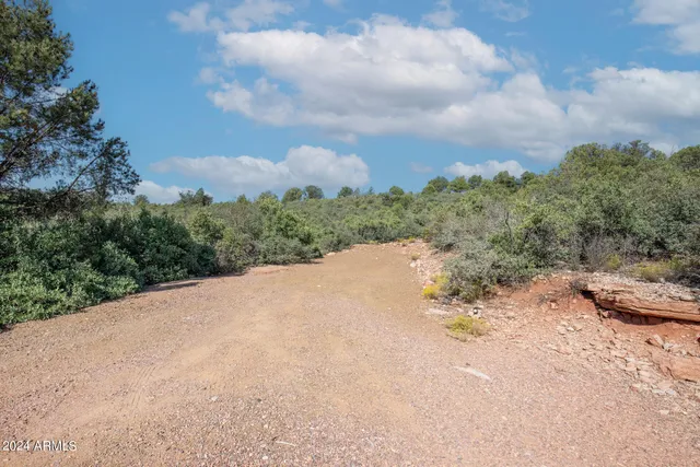 a view of a dry yard with wooden fence