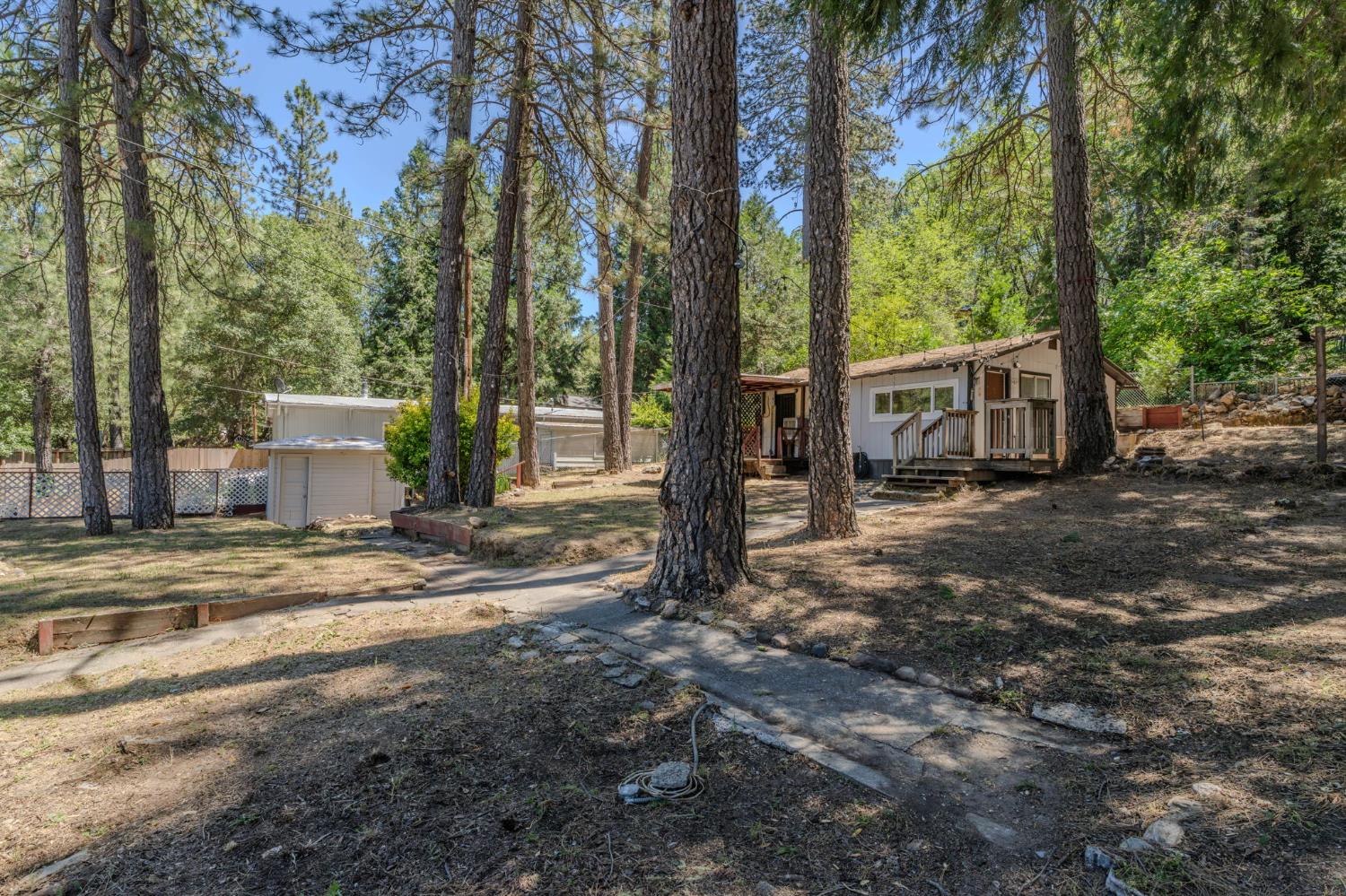 14876 Shenandoah Road River Pines, CA 95675 - Photo 2 of 37