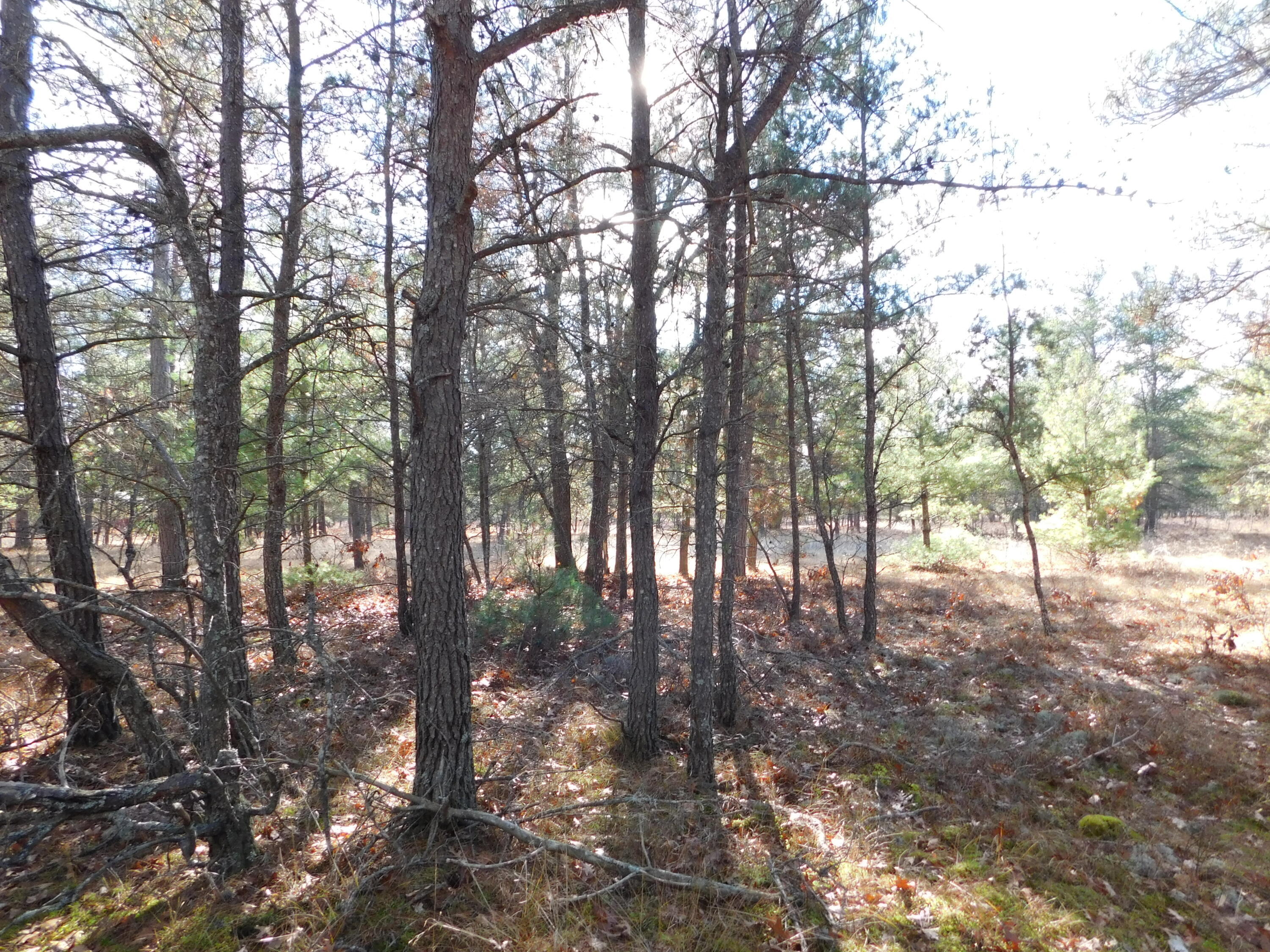 4964 Hi Banks Road Grayling, MI 49738 - Photo 56 of 60 Gallery Image 56