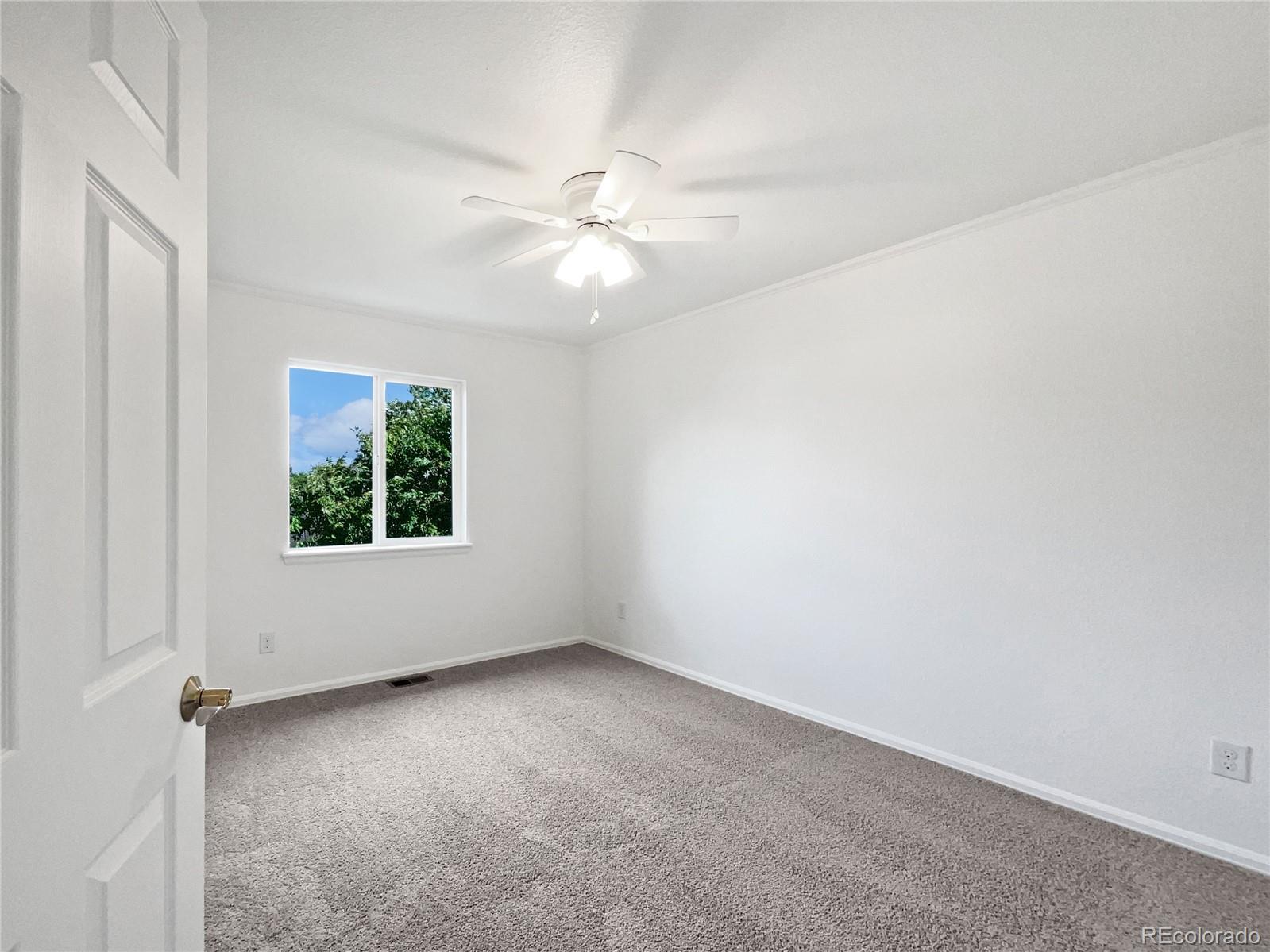 5606 Calgary Street Timnath, CO 80547 - Photo 36 of 45