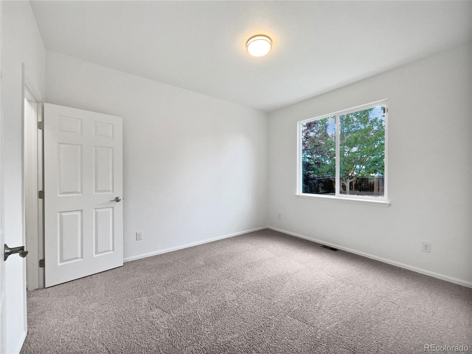 5606 Calgary Street Timnath, CO 80547 - Photo 5 of 45