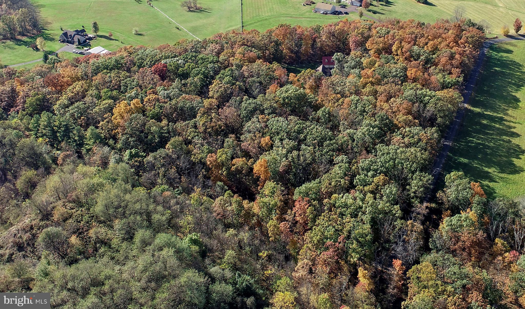 780 Forest Road Perkasie, PA 18944 - Photo 3 of 42 View of the entire property (9.93 Acres)