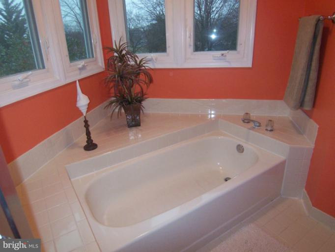 19214 Munger Farm Road Poolesville, MD 20837 - Photo 26 of 30 Bath (Master)