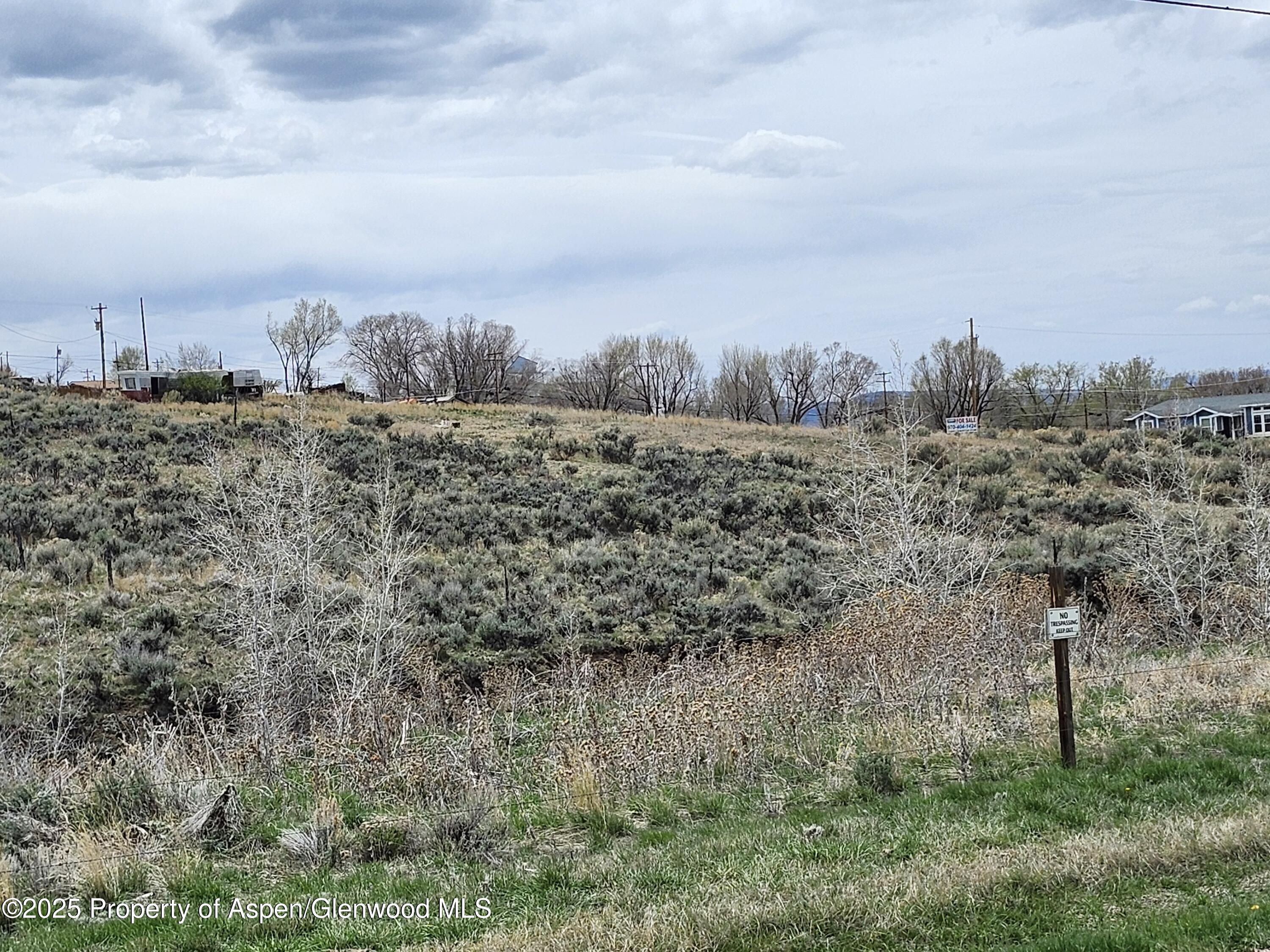 Tbd Pine Street Craig, CO 81625 - Photo 1 of 6 a view of a dry yard covered with trees