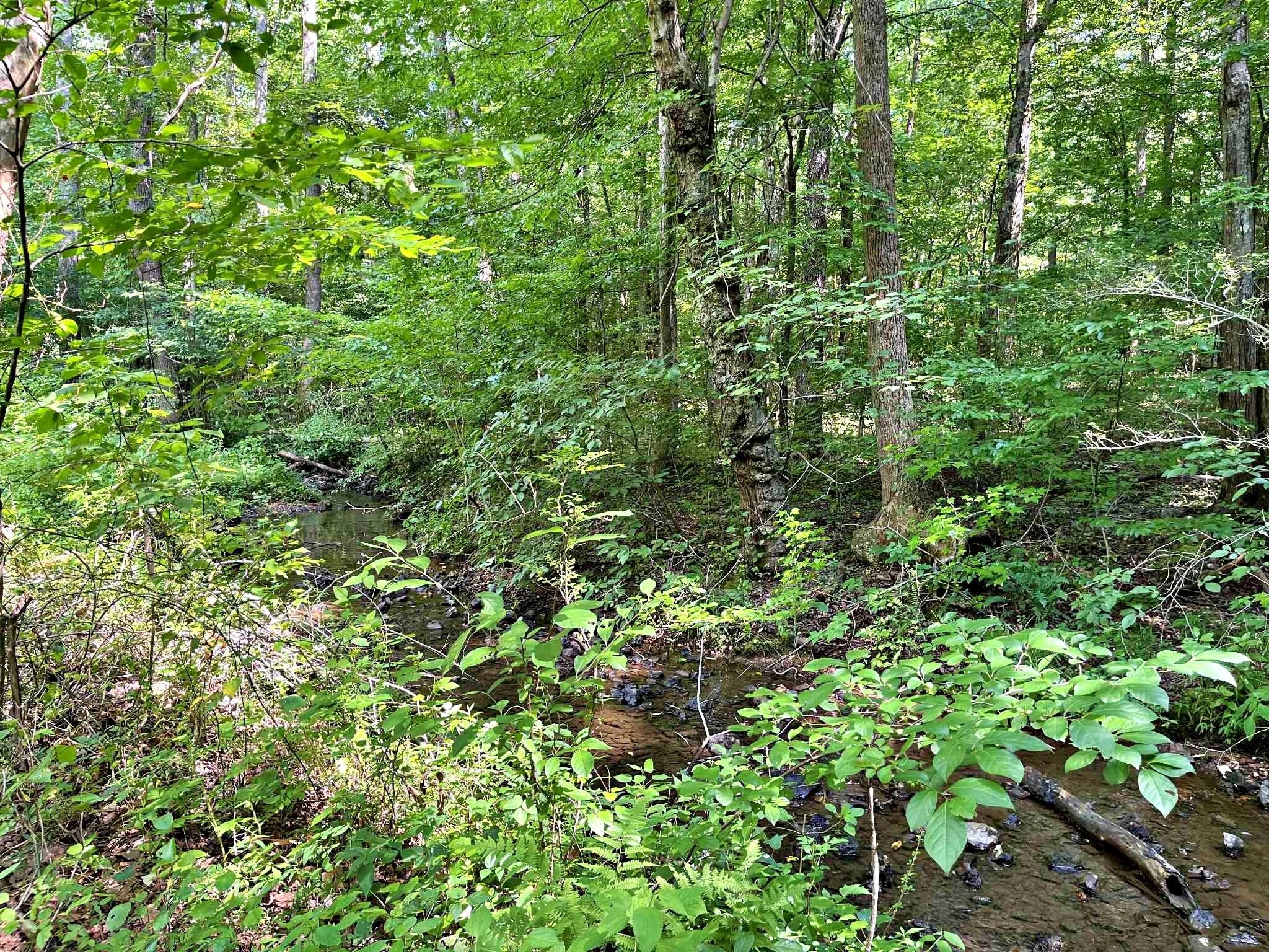 7 Raby Hollow Road Kingston, TN 37763 - Photo 10 of 12