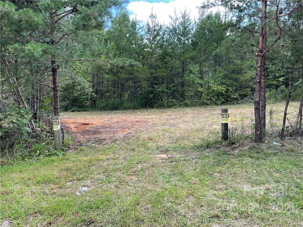 11.41 Thankful Church Road Boomer, NC 28606 - Photo 2 of 8 Gallery Image 2
