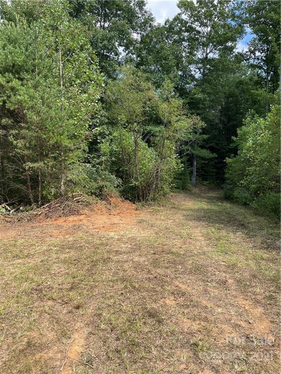 11.41 Thankful Church Road Boomer, NC 28606 - Photo 3 of 8 Gallery Image 3