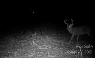11.41 Thankful Church Road Boomer, NC 28606 - Photo 7 of 8 Gallery Image 7