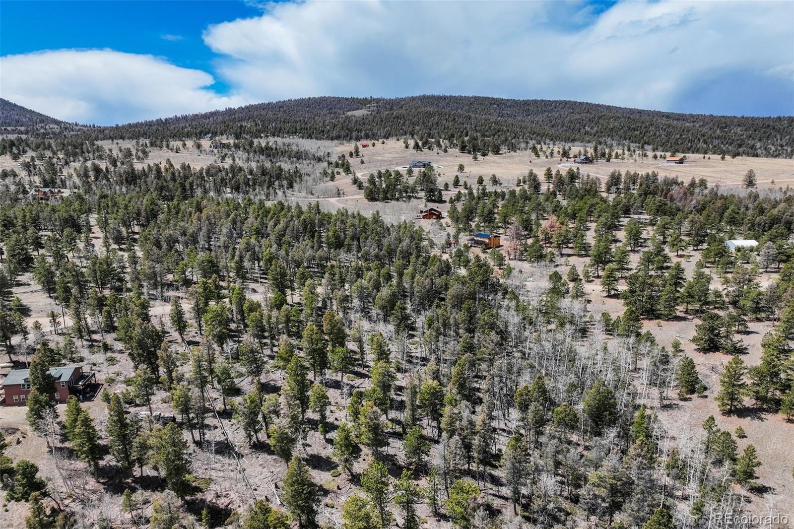 1430 Singletree Road Hartsel, CO 80449 - Photo 10 of 20 Gallery Image 10