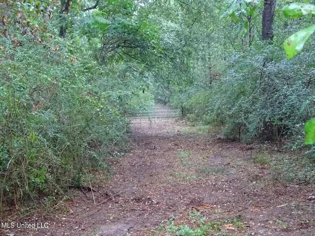 $325,000 | 193 Sweetbay Lane, Perkinston, MS 39573