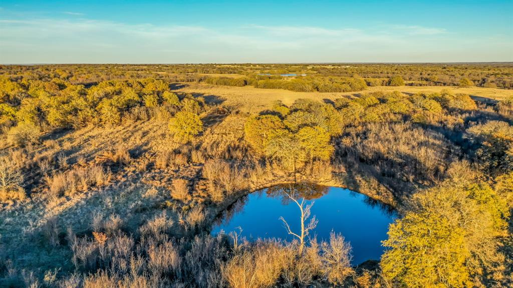 Tbd Light Road Lipan, TX 76462 - Photo 18 of 31