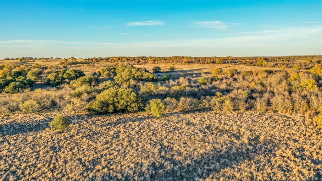 Tbd Light Road Lipan, TX 76462 - Photo 28 of 31