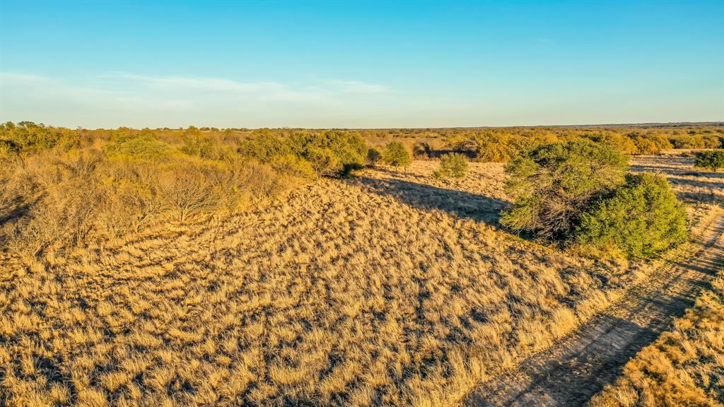 Tbd Light Road Lipan, TX 76462 - Photo 30 of 31